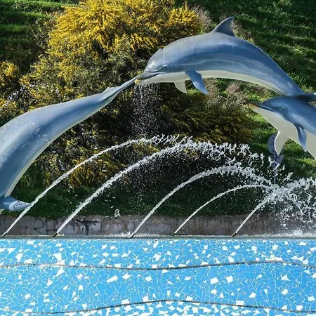 Al-dream Oura Estrela - Cc * אלבופיירה