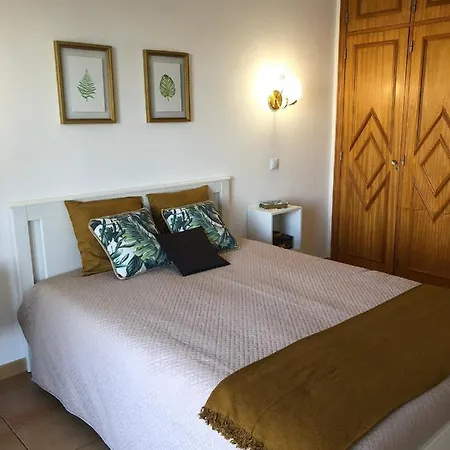 Al-dream Oura Estrela - Cc